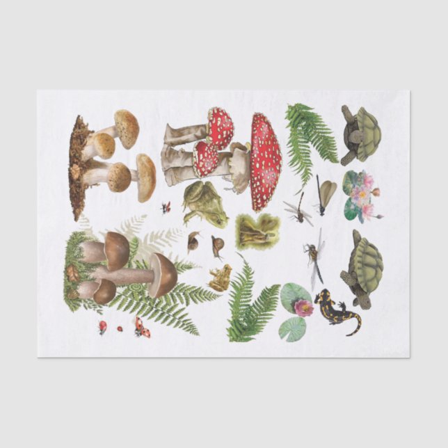 Mousseline Toadstool découpage papier éléments en bois (Recto)