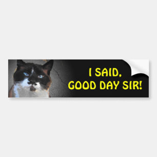 Moustache Cat Says You Good Day, Sir Bumper Sticker