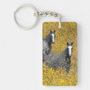 Moutarde et chevaux
