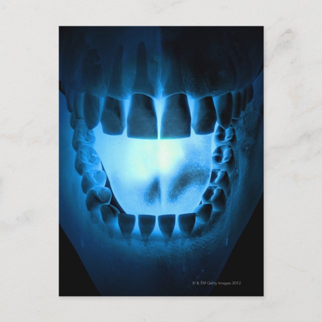 Mouth Area Postcard (Front)