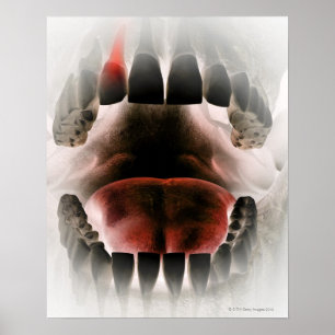 Mouth Poster
