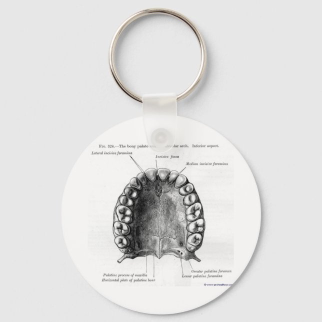 Mouthy Keychain (Front)