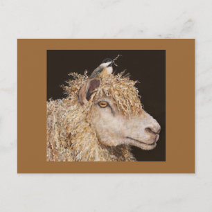 mouton avec carte postale de poulet