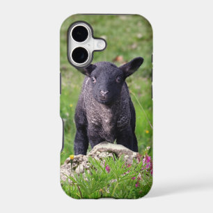 Mouton Baa Baa Noir Coque iPhone 5 Case-Mate