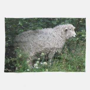 Mouton gourmand mignon mangeant un torchon de cuis