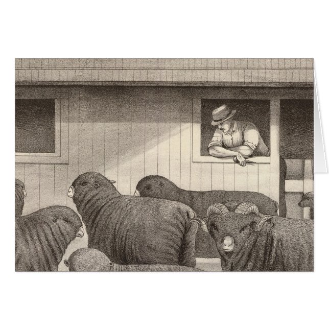 mouton mérino (Devant horizontal)