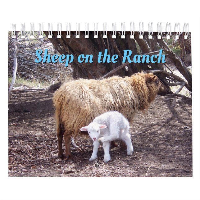 Moutons Dans Le Calendrier Du Ranch (Protection)