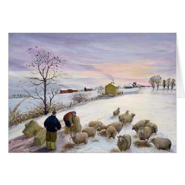 Moutons de alimentation en hiver (Devant horizontal)