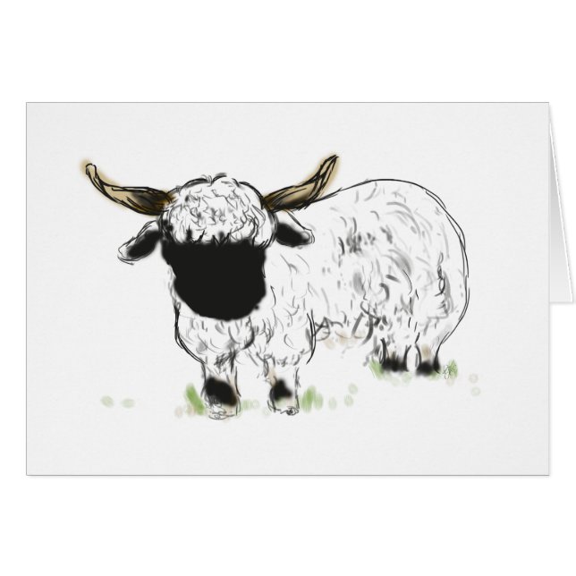 Moutons de blacknose du Valais (Devant horizontal)