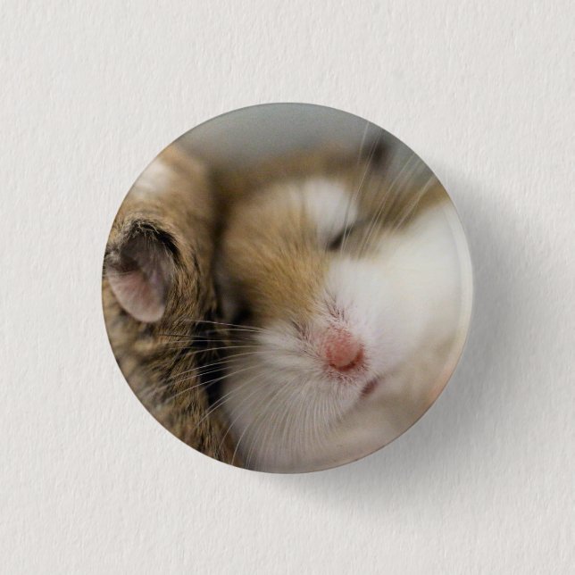 Move over Bob 1 Inch Round Button (Front)