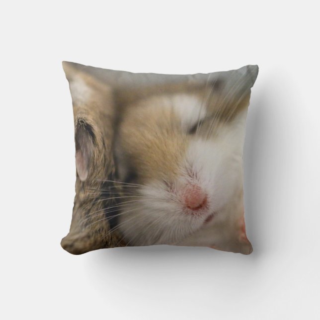 Move over Bob pillow (Front)