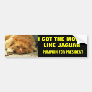Moves Like Jaguar Pumpkin for President Bumper Sticker