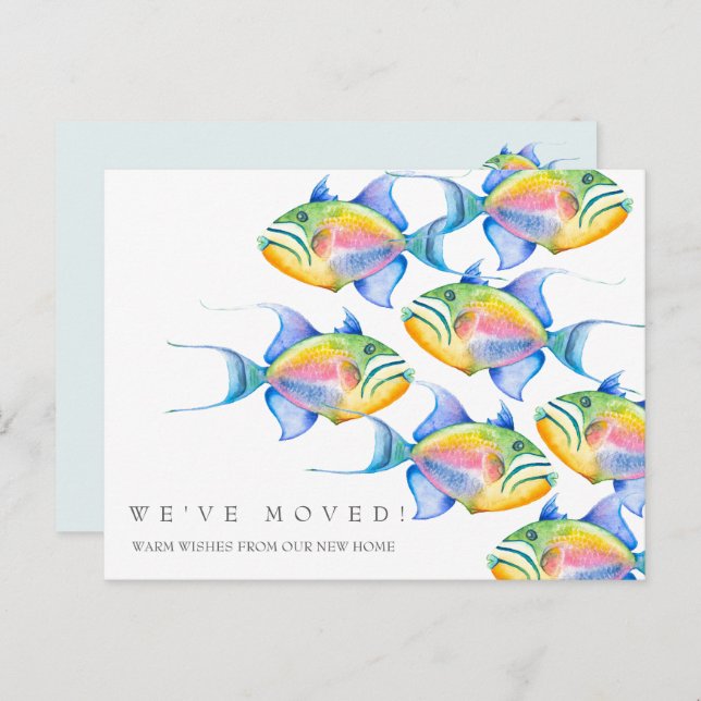 Moving Announcement Cards Colourful Tropical Fish  (Front/Back)