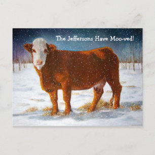 MOVING ANNOUNCEMENT: HEREFORD BEEF COW ANNOUNCEMENT POSTCARD