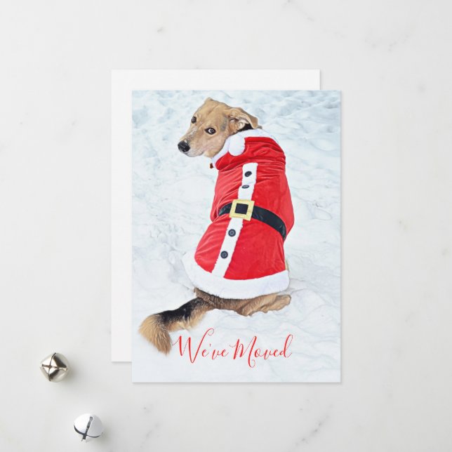 Moving Cute Christmas Dog In Snow Red Santa Suit Holiday Card (Front/Back In Situ)