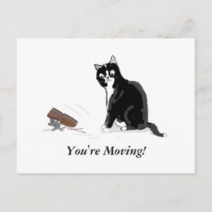 Moving Home, Cartoon cat and mouse, add text Announcement Postcard