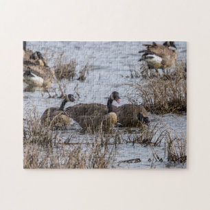 Moving In Jigsaw Puzzle