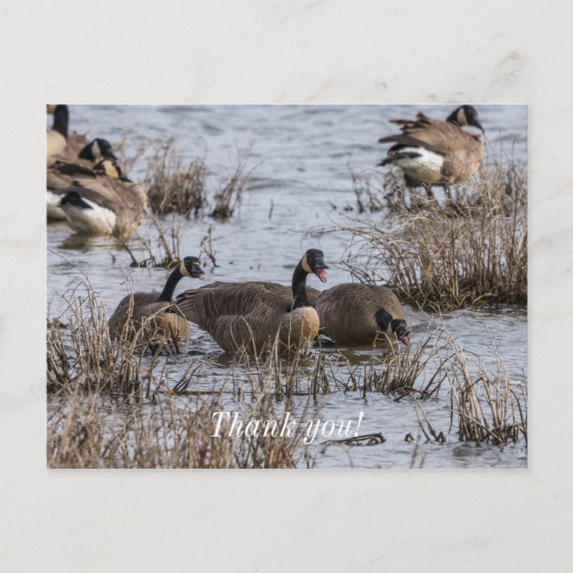 Moving In Postcard (Front)