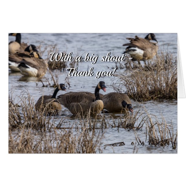 Moving In Thank You Card (Front Horizontal)