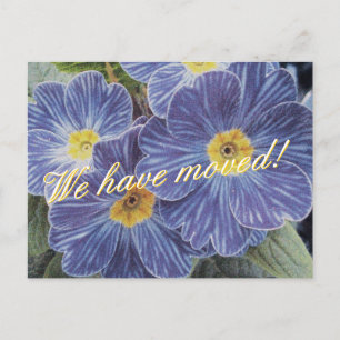 Moving postcards with blue flower design