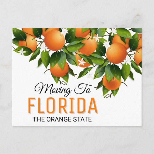Moving To Florida | Change of Address Postcard (Front)