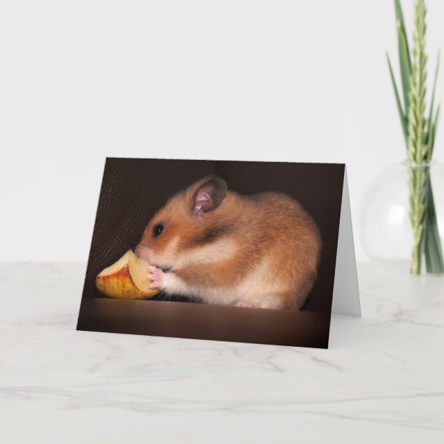 Mowsie Greeting Card (Front)