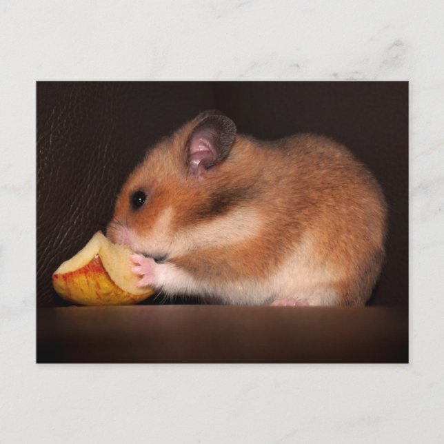 Mowsie Postcard (Front)