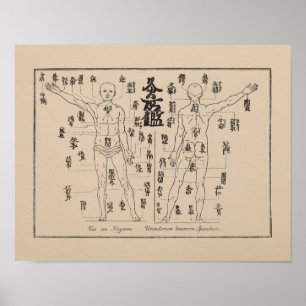 Moxa Points in Japanese Acupuncture Moxibustion Poster