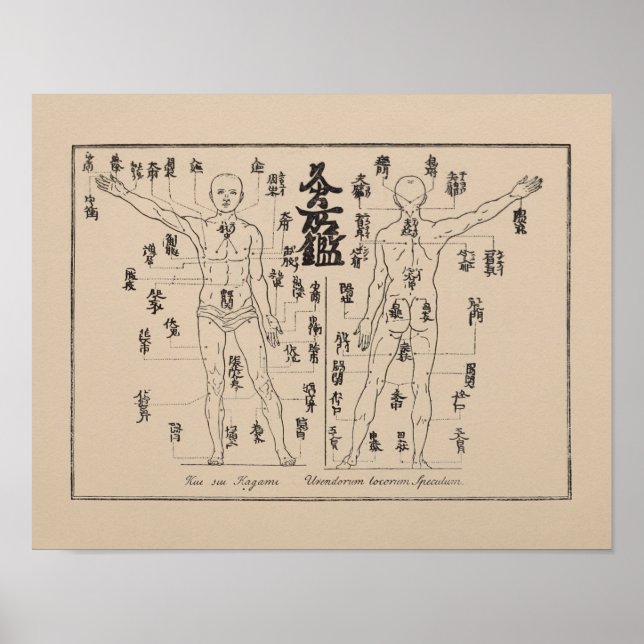Moxa Points in Japanese Acupuncture Moxibustion Poster (Front)