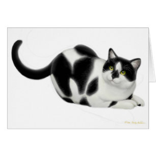 Moxie the Cat Card