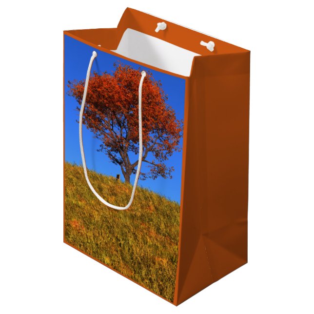 Moyen Effacer le sac cadeau du jour d'automne (Devant Angle)