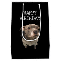 Pitbull Portant un sac cadeau Sweat - shirt à capu