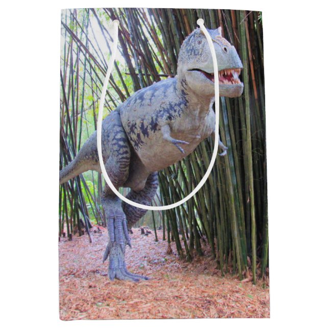Moyen Sac cadeau Dinosaur - Daspletosaur (Devant)