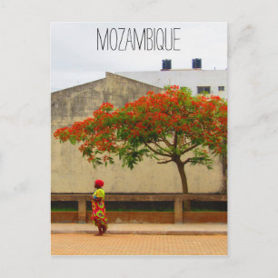 mozambique red tree postcard