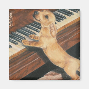 Mozart's Apprentice Magnet