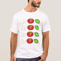 Mozzarella Tomato Basil Italy Cooking Food Caprese