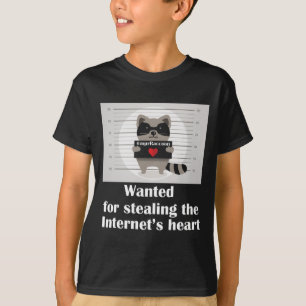 MPRRaccoon St. Paul Minnesota Internet Trend T-Shirt