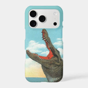 Mr. Alligator