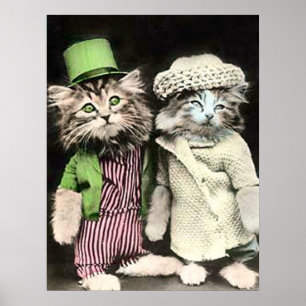 Mr and Mrs Cat Poster