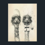 Mr. and Mrs. Ostrich Postcard<br><div class="desc">Vintage  post-crossing card. Artist`s original drawing Also will be suitable for Bridal Shower or invitation.</div>