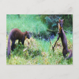 Mr and Mrs Pine Marten Date Night Holiday Postcard