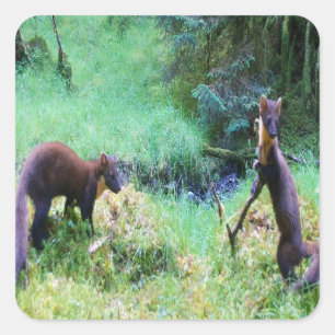 Mr and Mrs Pine Marten Date Night Square Sticker