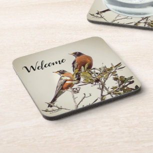 "Mr and Mrs Robin" Coaster