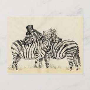 Mr. and Mrs. Zebra Fancy couple Postcard