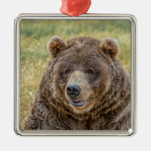 Mr. Bear Metal Ornament
