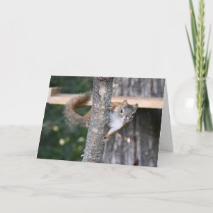 Mr. Bickles greeting card