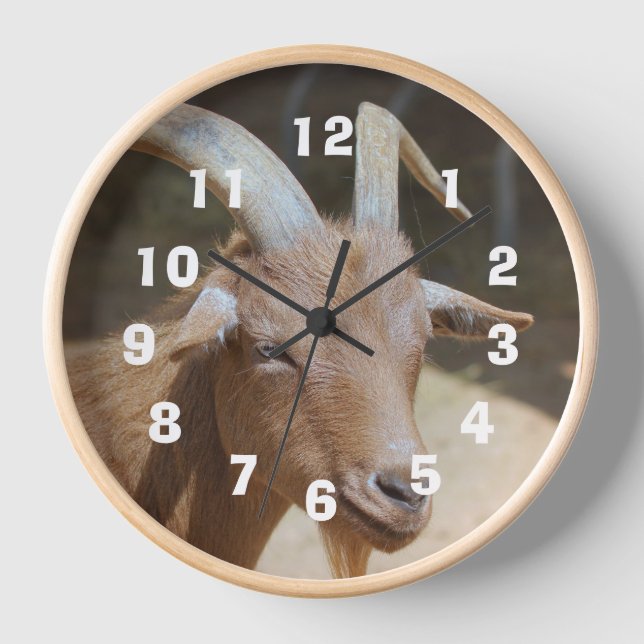 Mr.Bill Clock (Front)