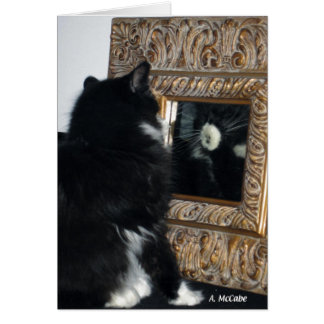 Mr. Bootee, thru the Looking Glass