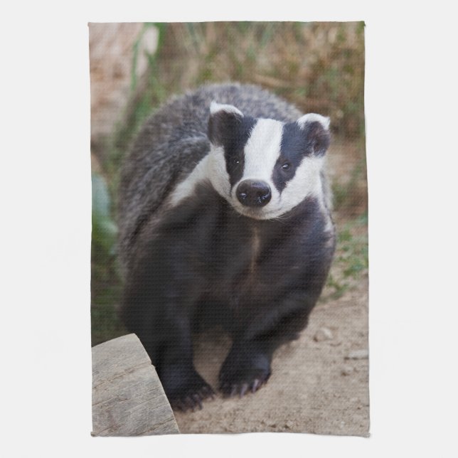 Mr Brock Kitchen Towel (Vertical)