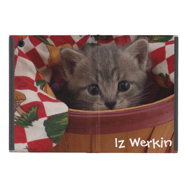 Mr. Brown Kitty Case For iPad Mini (Outside)
